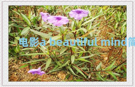 电影a beautiful mind简介(a beautiful mind百度百科)